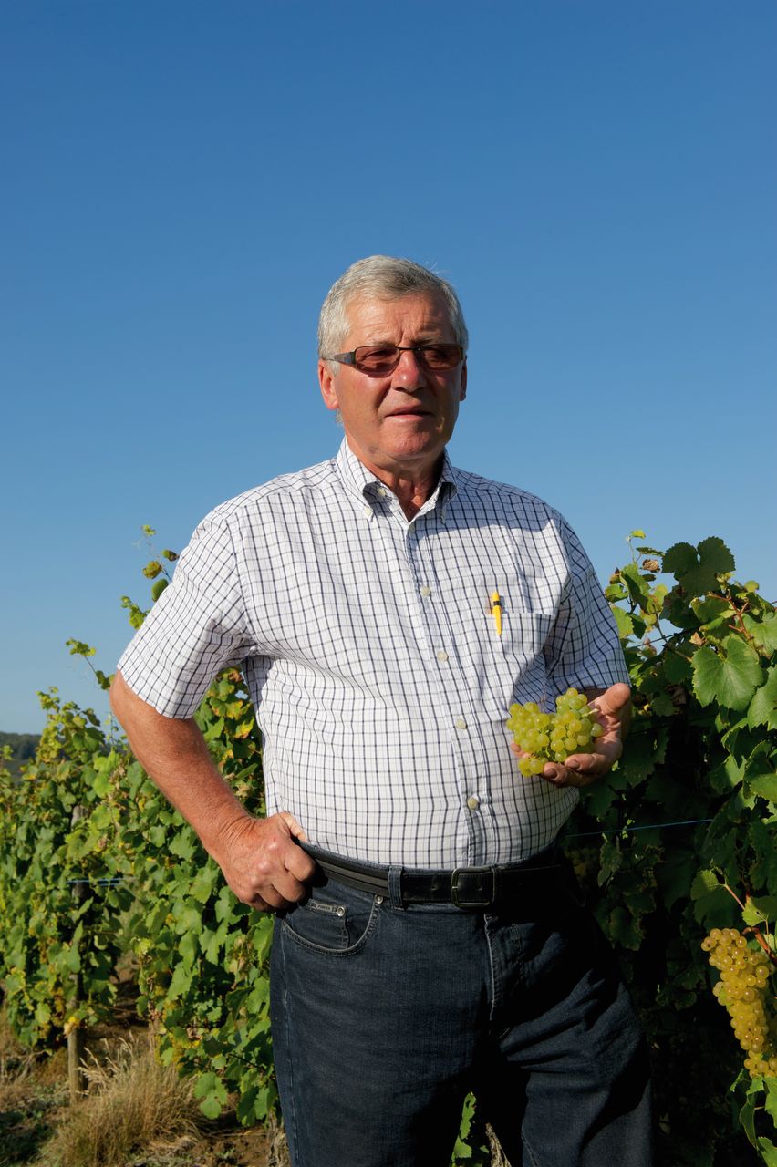 Vins Vigneron Pierre Rolet portraitPR-4